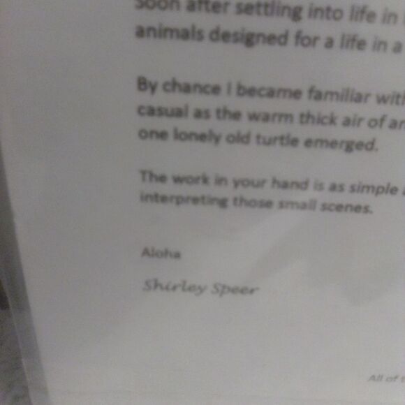 Framed Hawaiian Seashells - Ribbed Miters Collection - Picture 2 of 3